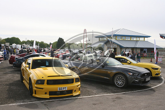 PUREFORD 019