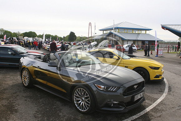 PUREFORD 022