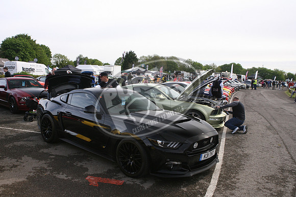PUREFORD 024