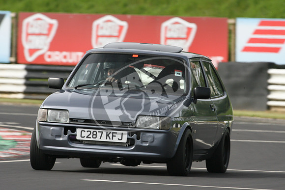 PUREFORD 219