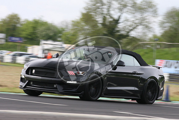 PUREFORD 240