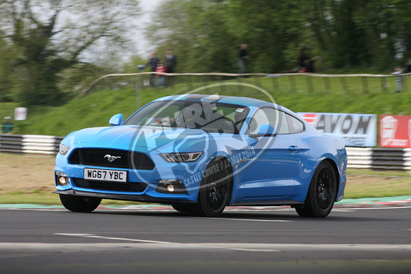 PUREFORD 393