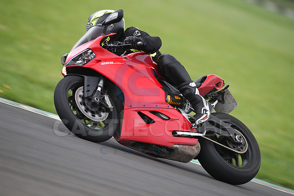 BIKES 1175