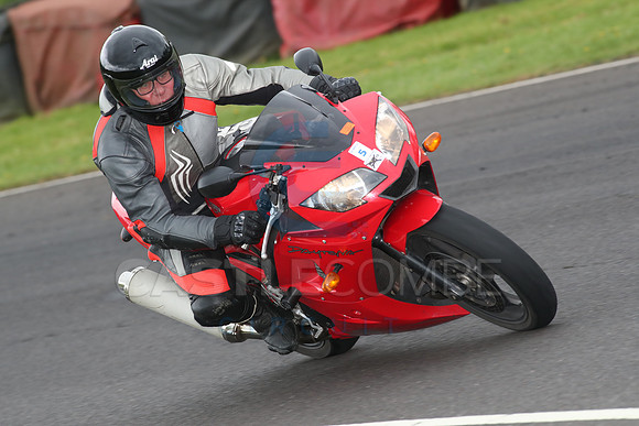 BIKES 1617
