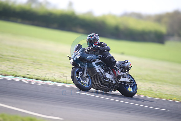 BIKES 1195