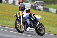 Fowlers 0389