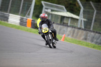 BIKES 1119