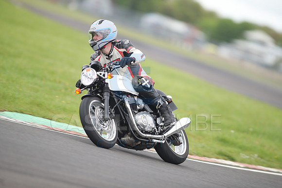 BIKES 1101