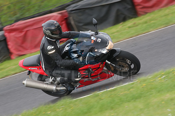 BIKES 1494