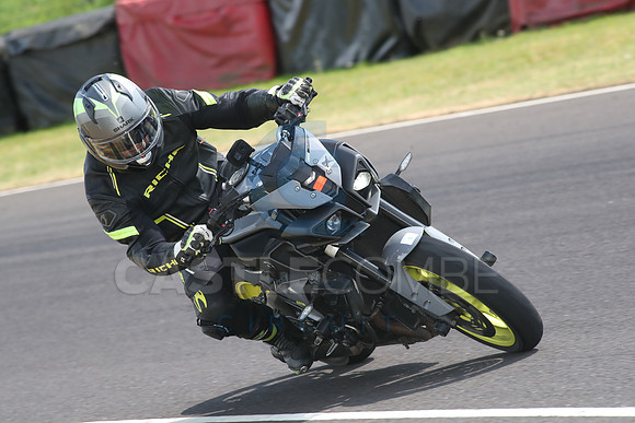 BIKES 1630