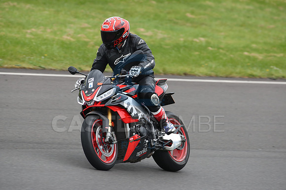 BIKES 2116