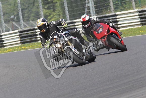 CC Bikes 0462