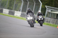 BIKES 1260