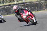 BIKES 0886