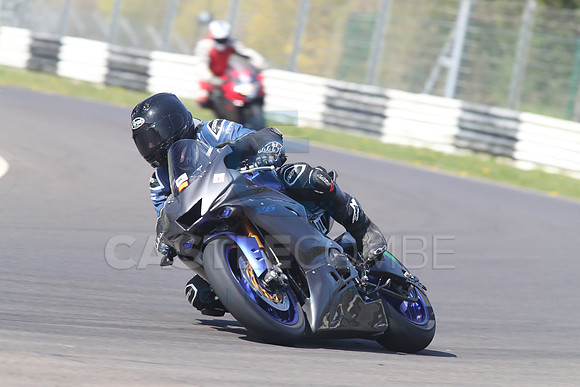 BIKES 1462
