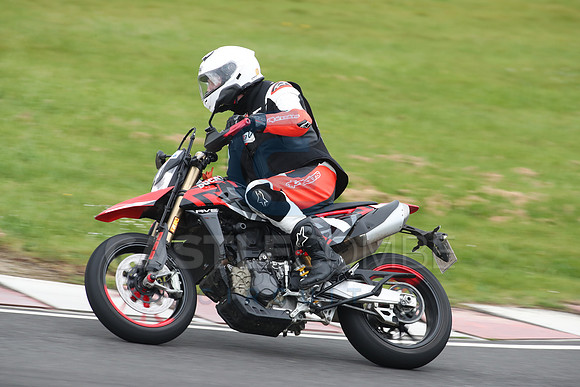 BIKES 2137