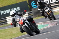 BIKES 0476
