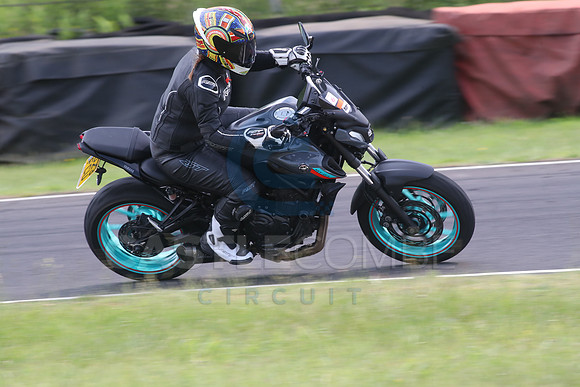 BIKES 1315