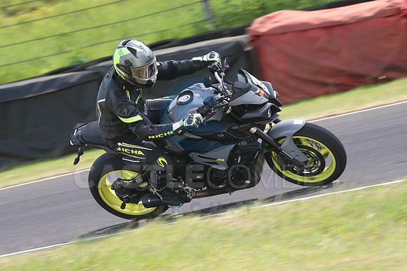 BIKES 1590