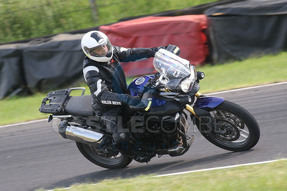 BIKES 1349