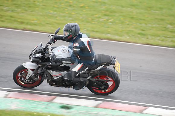 BIKES 2013