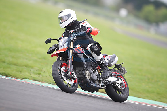 BIKES 1293
