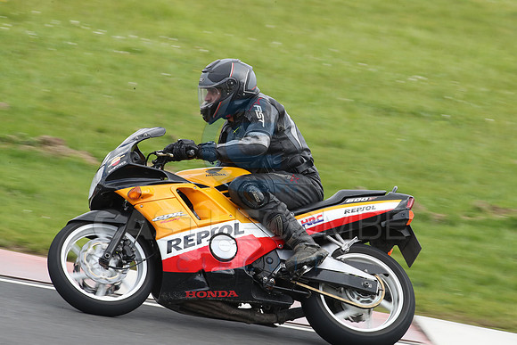 Fowlers 0876