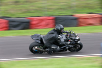 Fowlers 0245