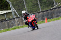 BIKES 0560