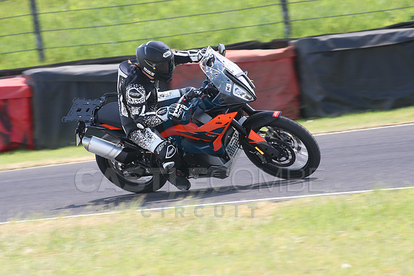 BIKES 1381