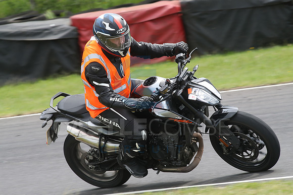 BIKES 1253