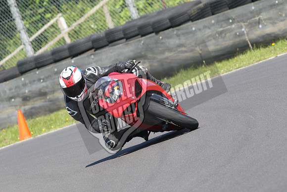 CC Bikes 0482