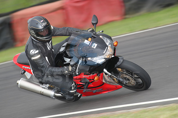 BIKES 1174