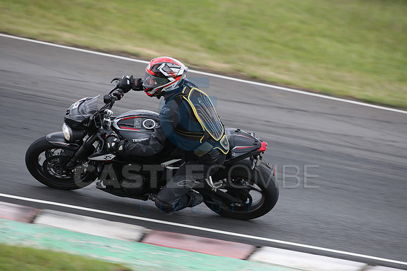 BIKES 1619