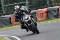 Triumph silver