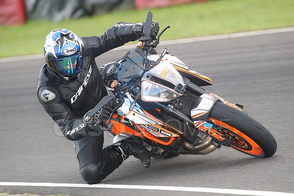 BIKES 1391