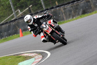 BIKES 0564
