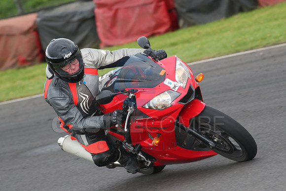 BIKES 1604