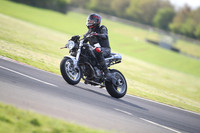 BIKES 1177