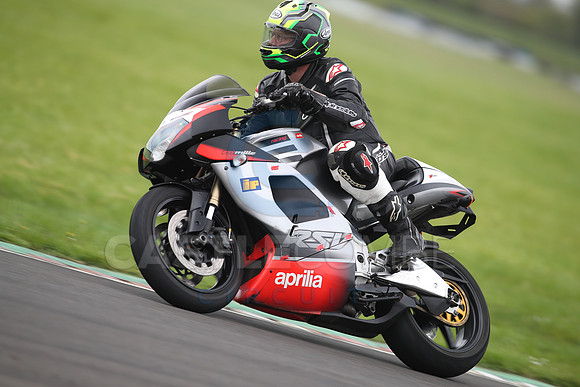 BIKES 1354