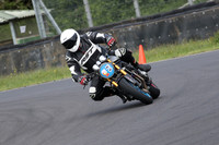 BIKES 0558