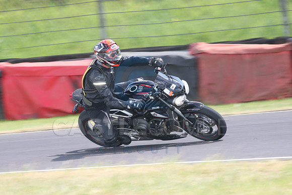 BIKES 1565