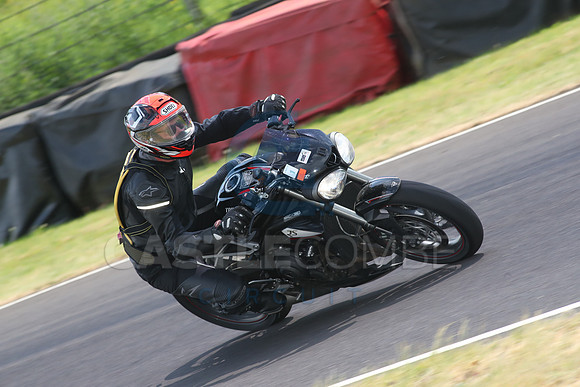 BIKES 1617