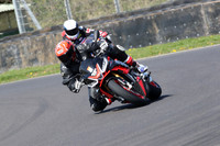 BIKES 0831