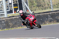 BIKES 0884