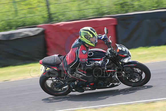 BIKES 1384