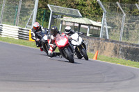 BIKES 1451