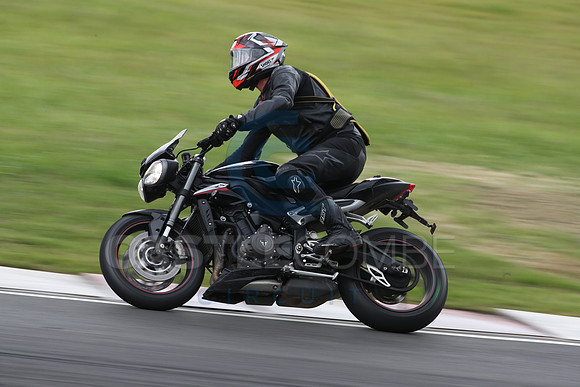 BIKES 1607