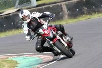 BIKES 0496