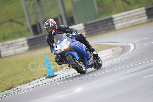 BIKES 0239